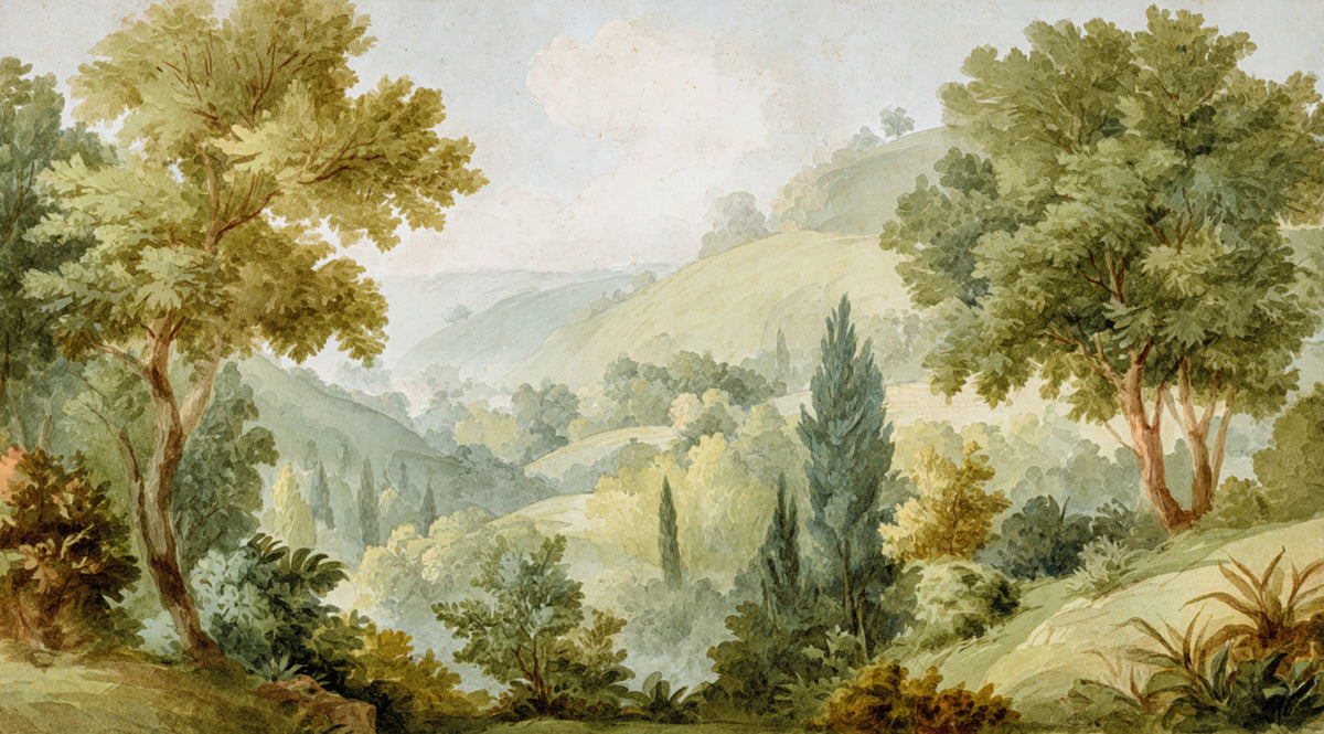 Serene Valley Vista Wall Mural in your room