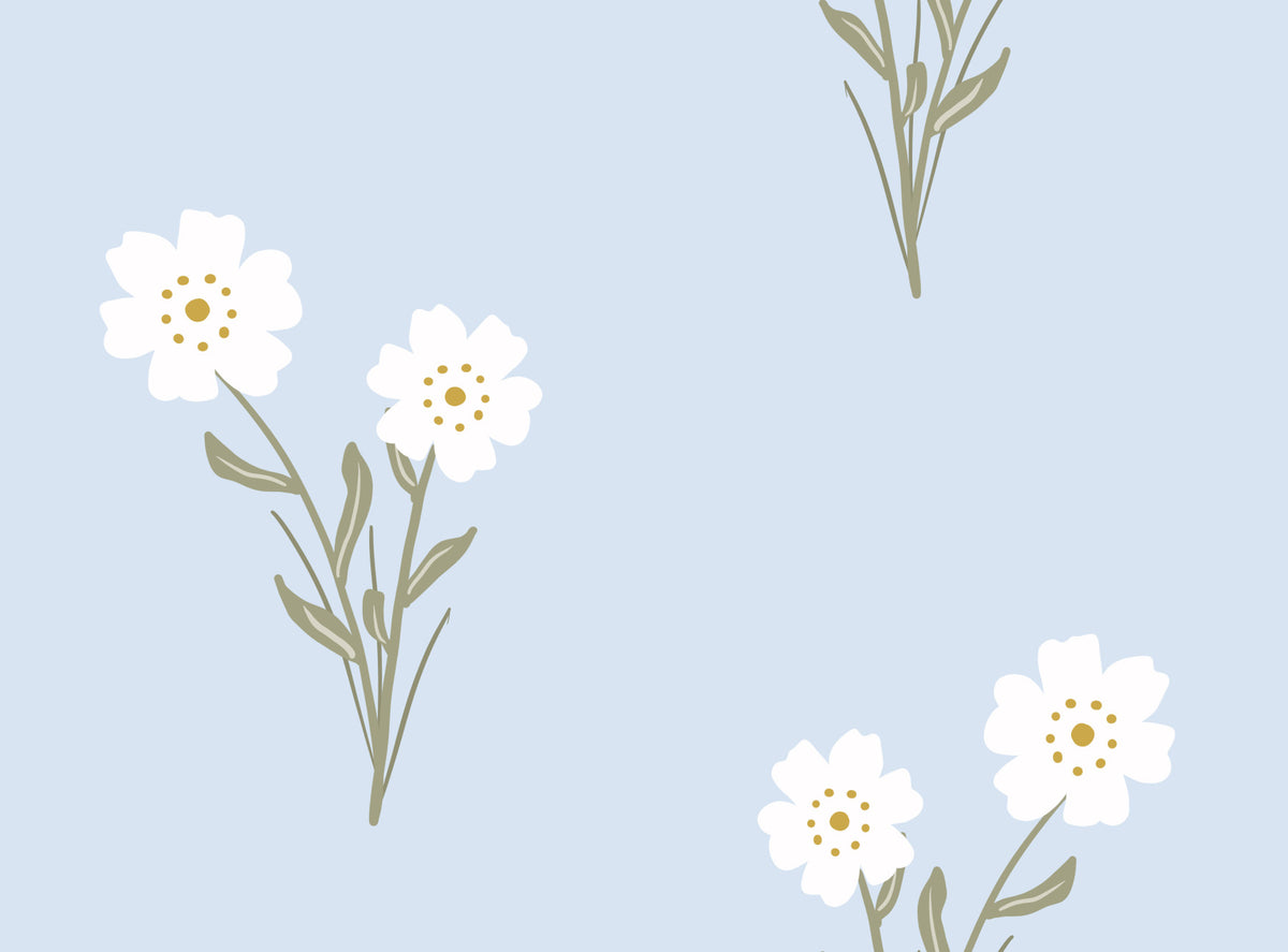 Soft Bloom Serenity Wallpaper⁠ in your room