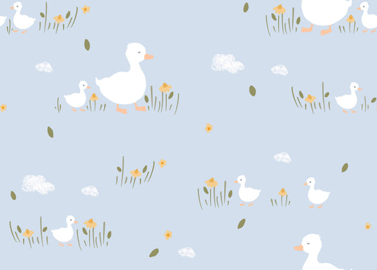 Baby Ducklings Wallpaper⁠