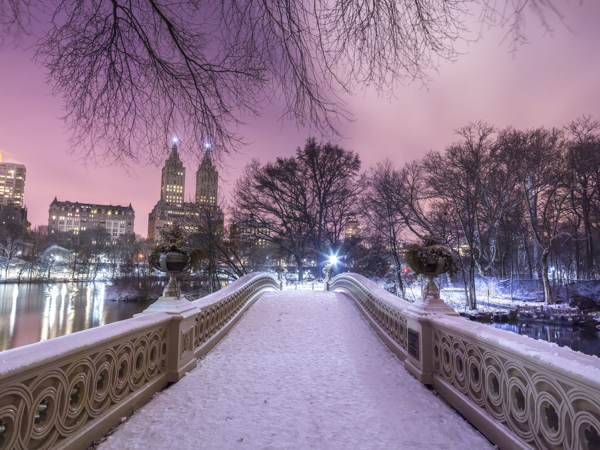 Bow Bridge Winter: Central Park's Pink Dusk Wall Mural in your room — zoomed
