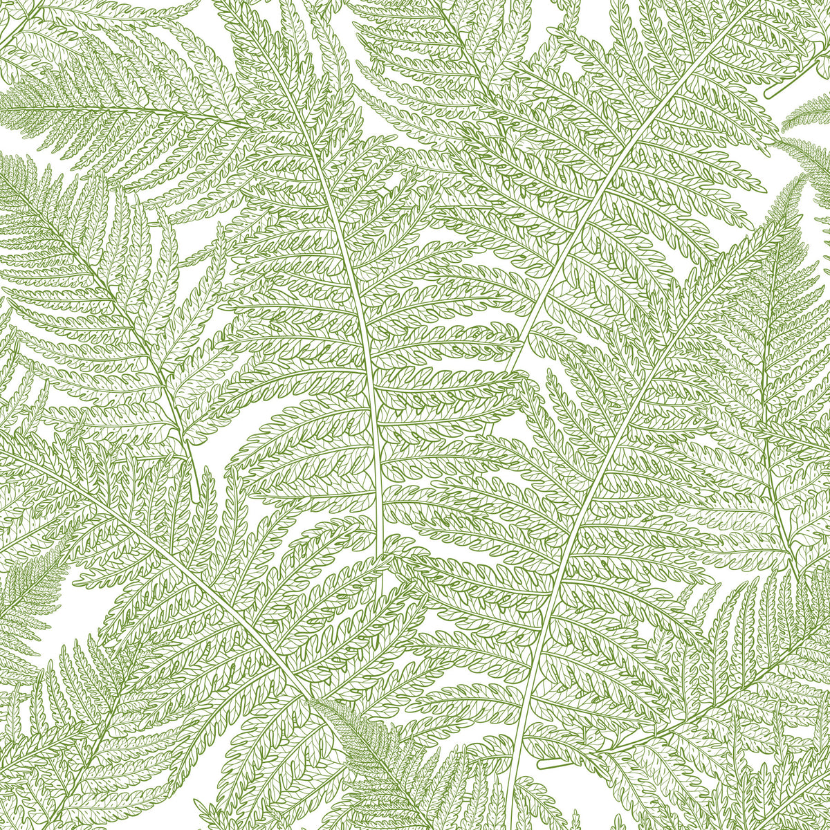 Serene wallscapes: Fern Wallpaper⁠ in your room — zoomed