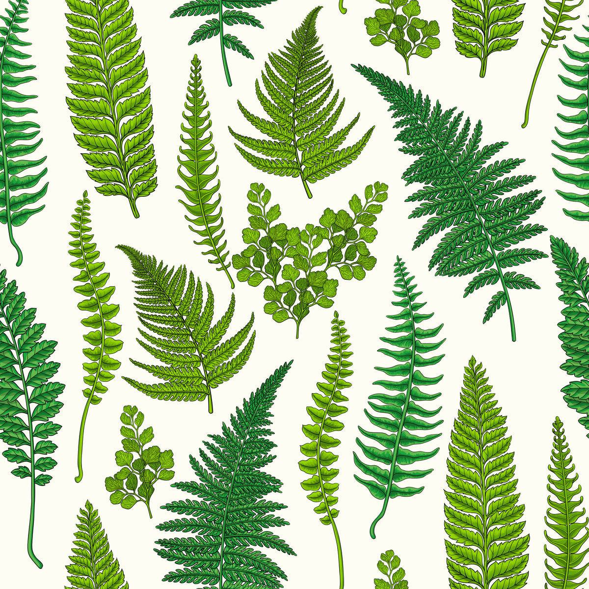 Ferns on natural white Wallpaper⁠ in your room