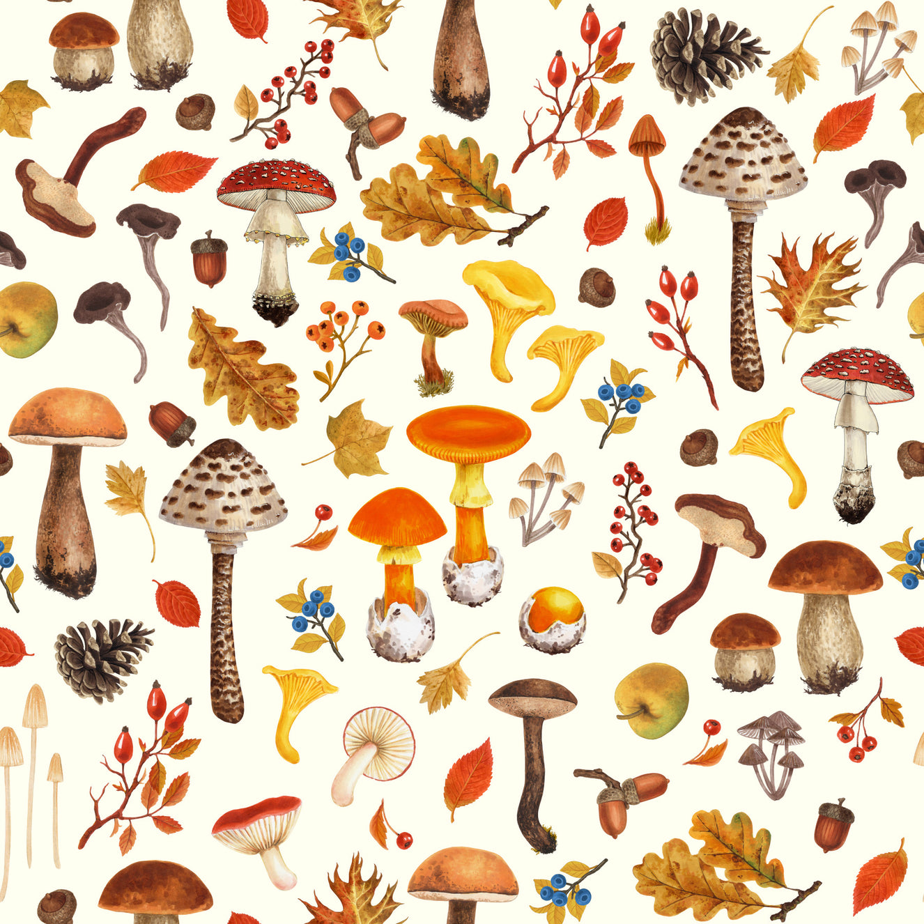 Wild mushrooms on off white Wallpaper⁠