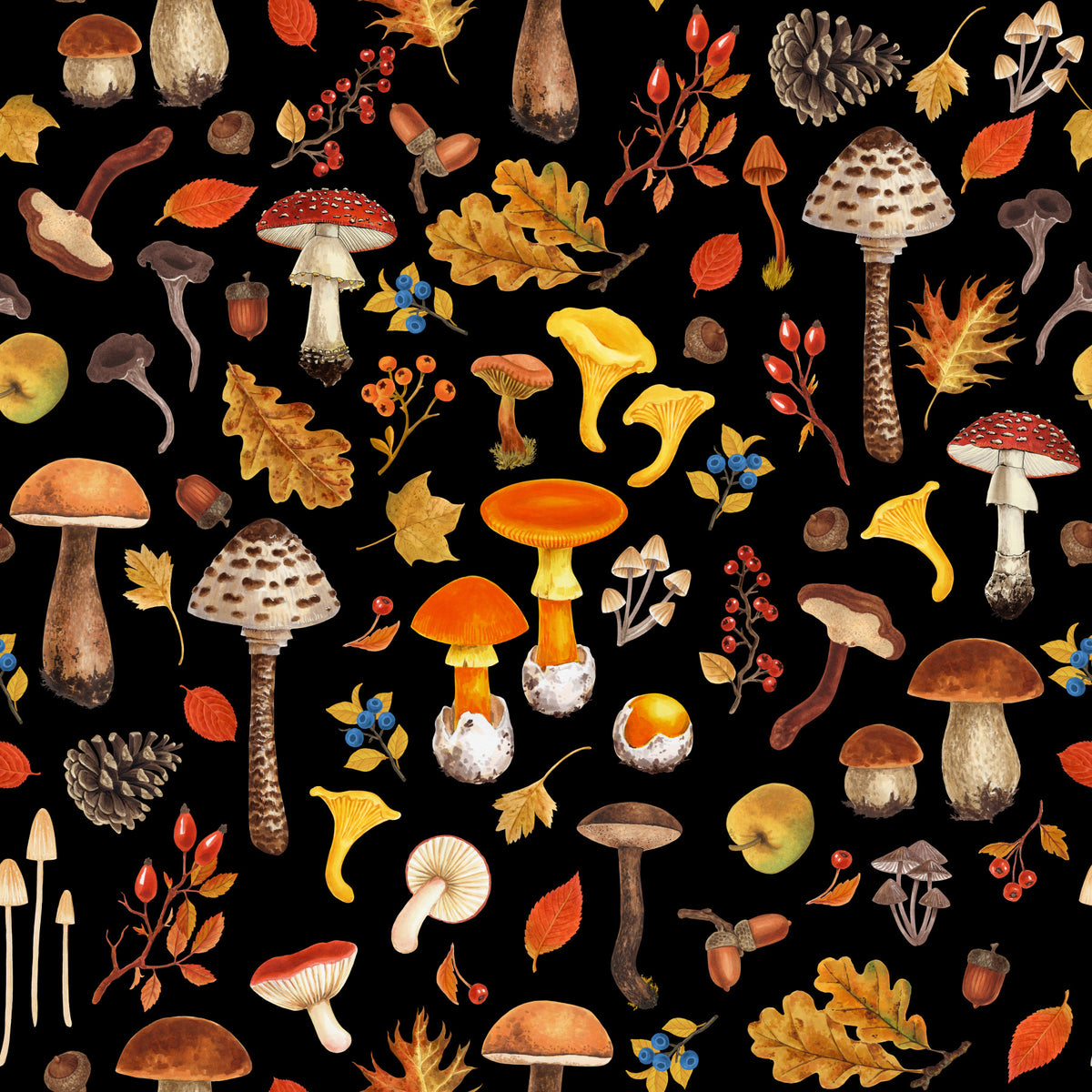 Wild mushrooms on black Wallpaper⁠ in your room