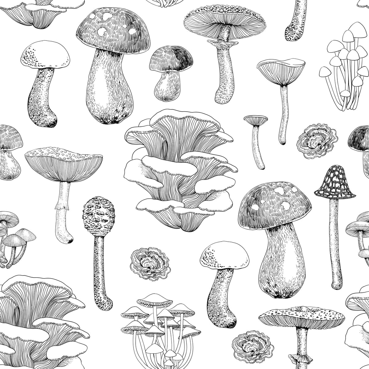 Wild Mushrooms  in black and white Wallpaper⁠ in your room