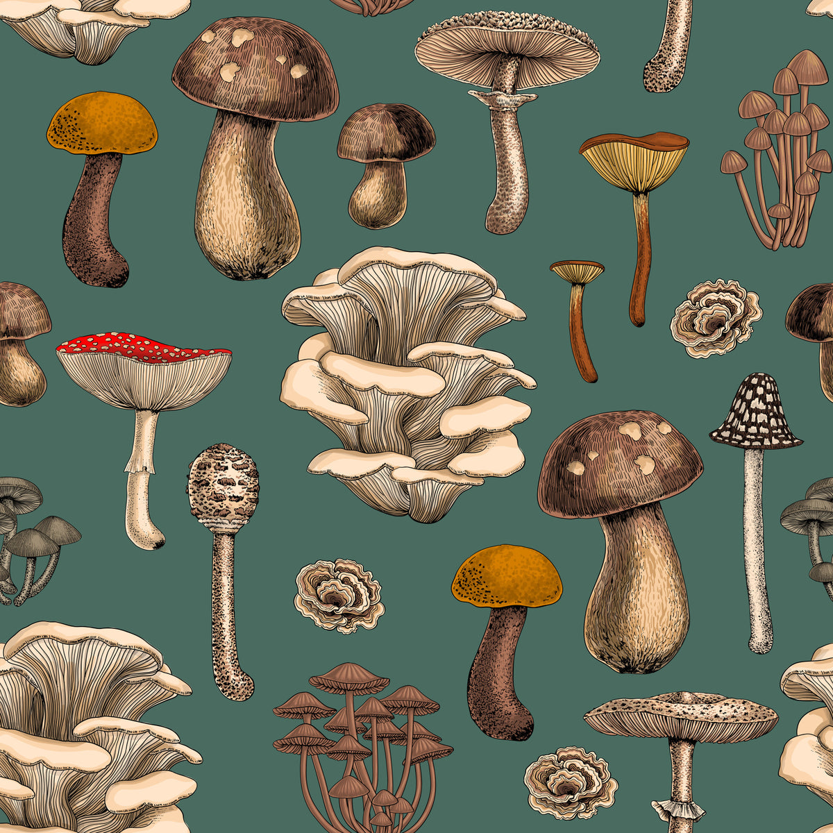 Wild Mushrooms  on pine green Wallpaper⁠ in your room