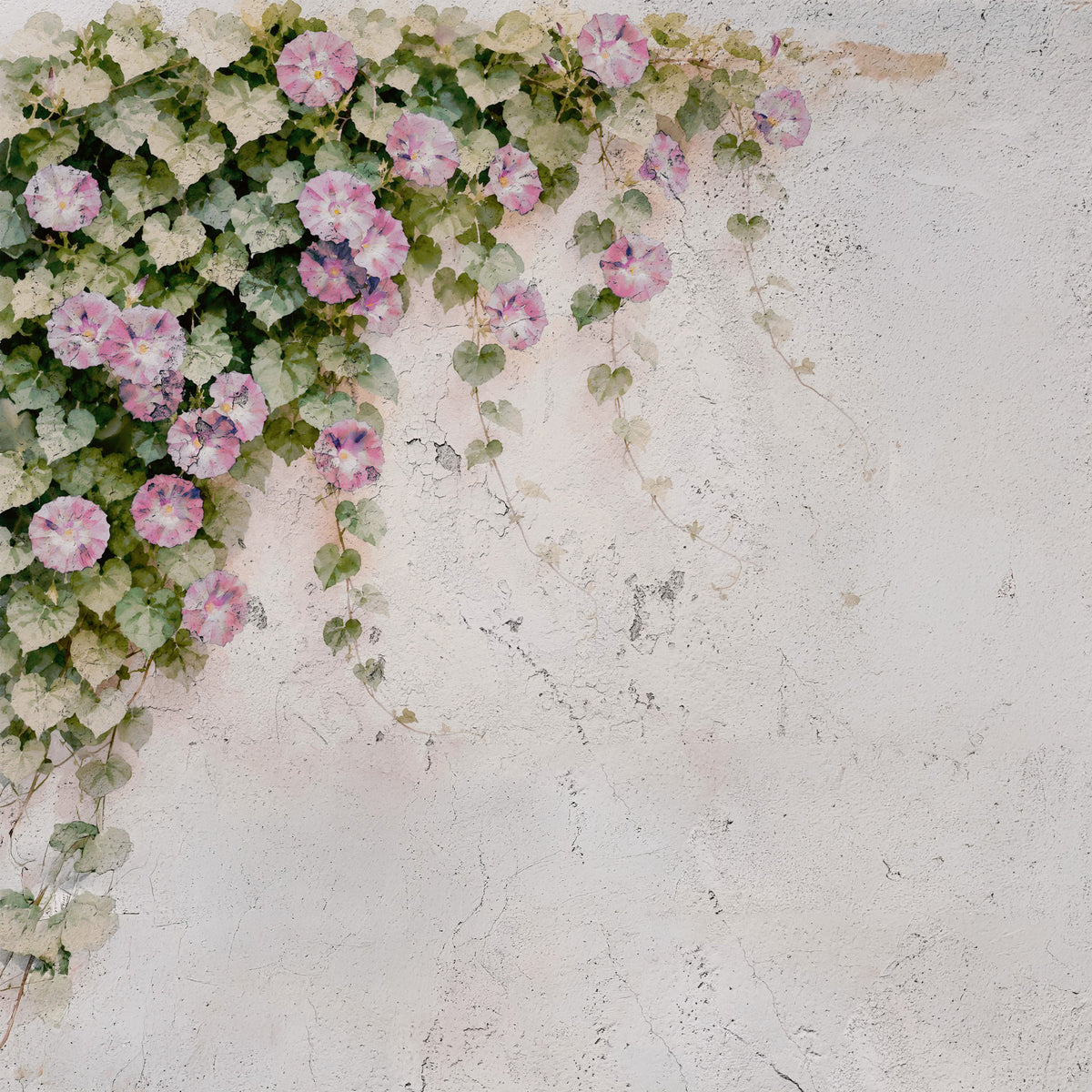 Blush Vines, Rustic Charm Wall Mural in your room