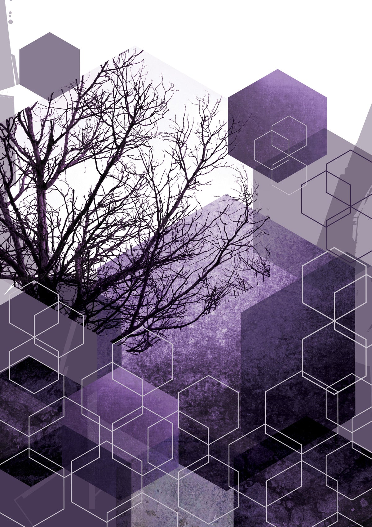 Shadowed Geometry Wall Mural in your room
