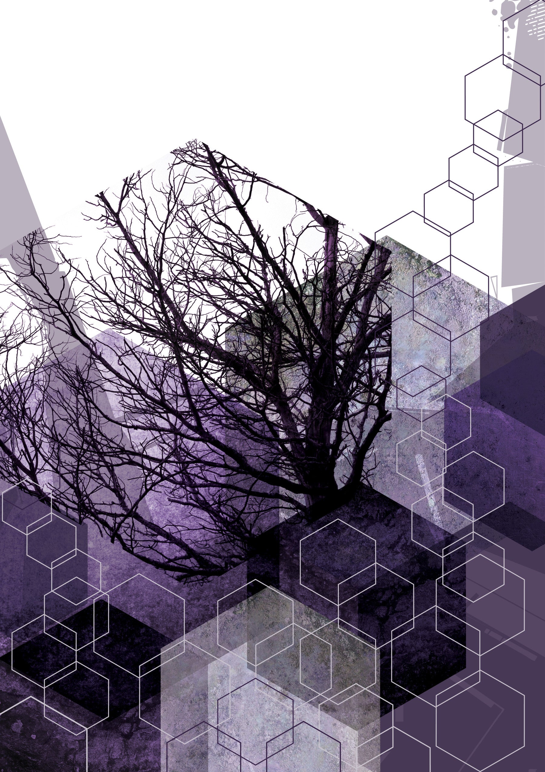 Geometric Arbor Veil Wall Mural