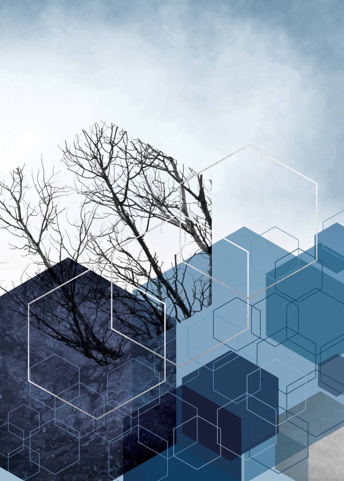 Blue Hexagon Winter Branch Wall Mural in your room