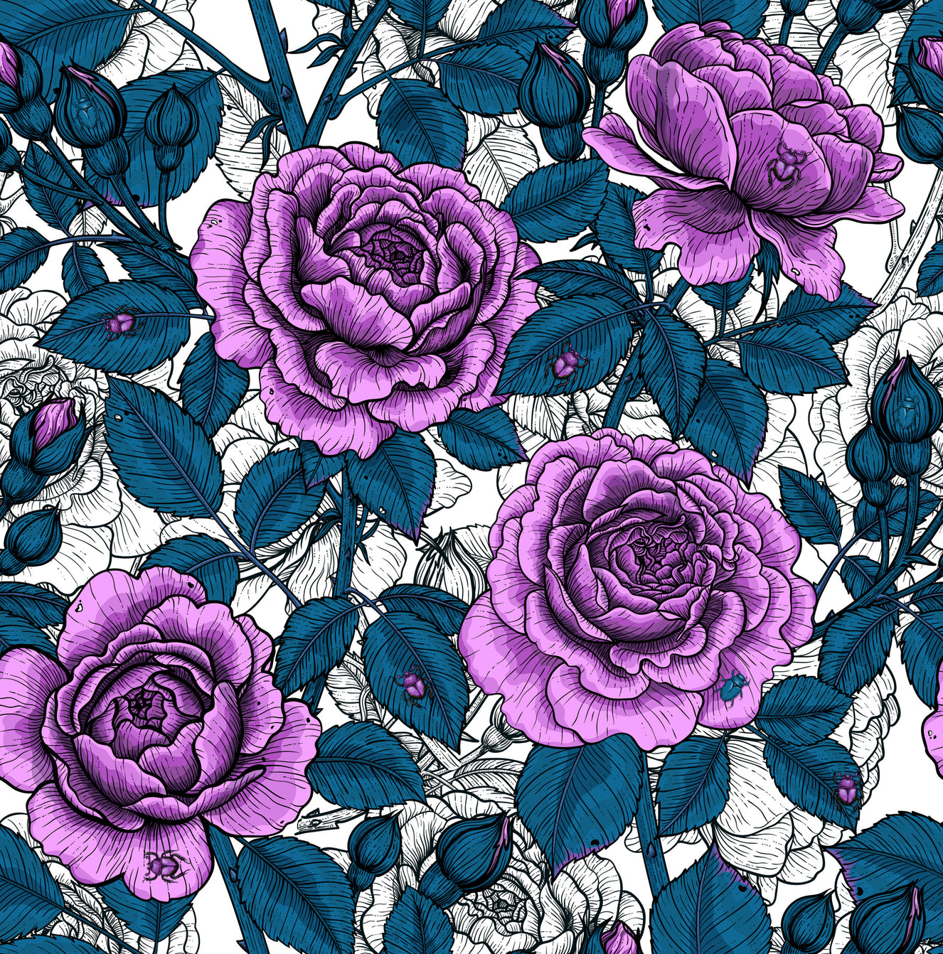 Violet rose garden Wallpaper⁠
