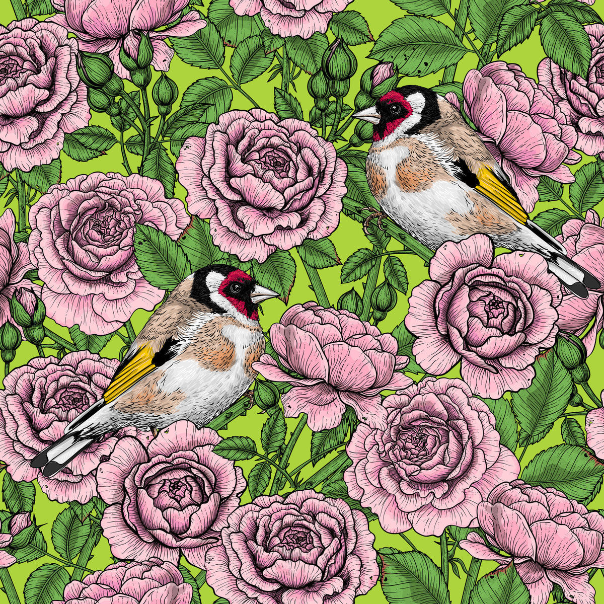 Goldfinch & Rose Garden Delight Wallpaper⁠ in your room — zoomed