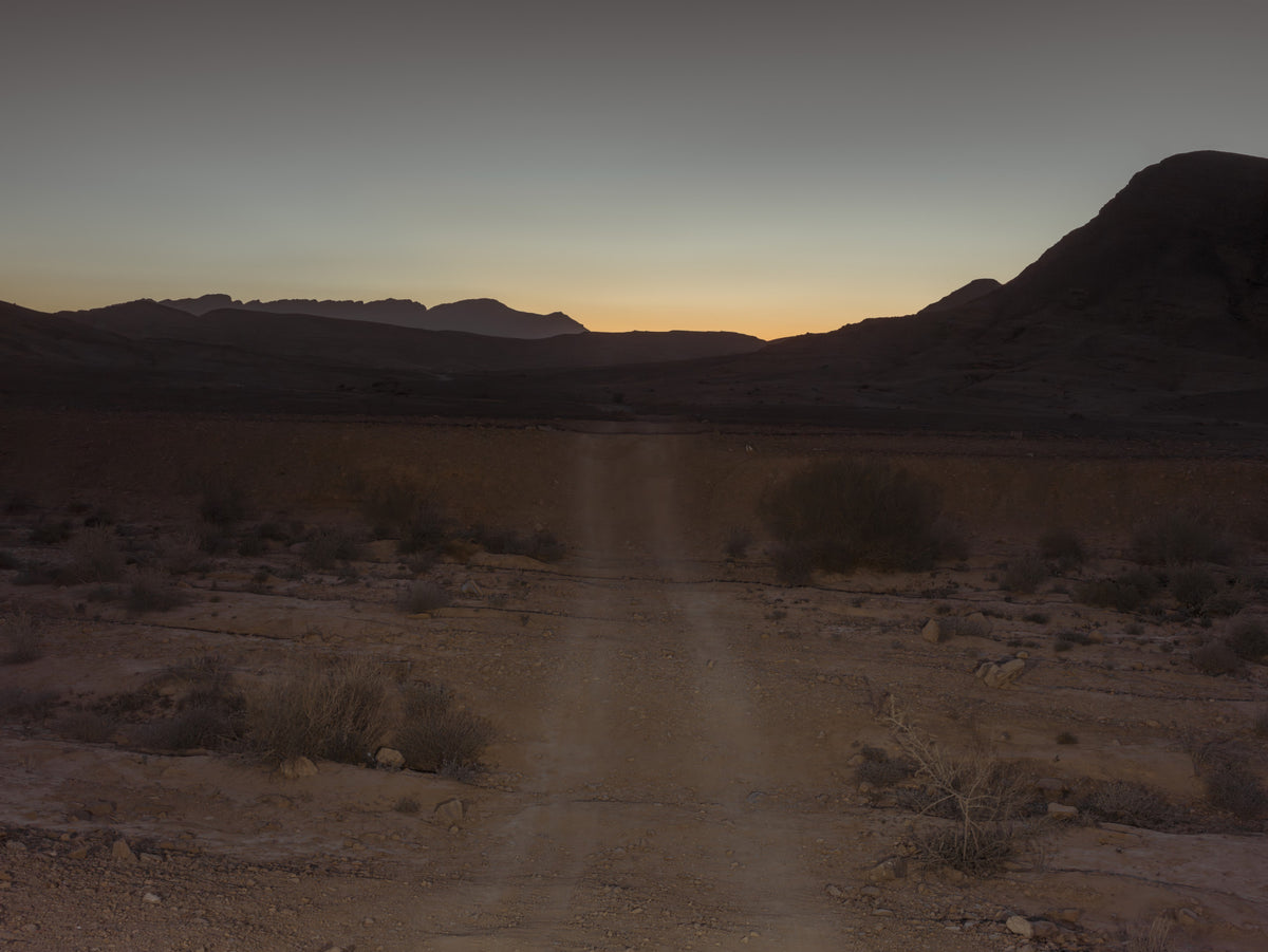 Desert Dawn Path Wall Mural in your room — zoomed