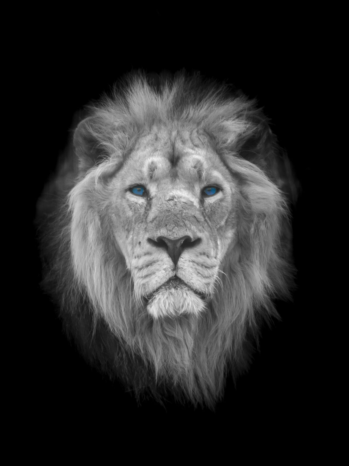 Azure Eye King Wall Mural in your room