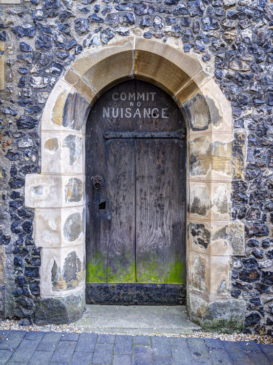 Arched Entry: Commit No Nuisance Wall Mural