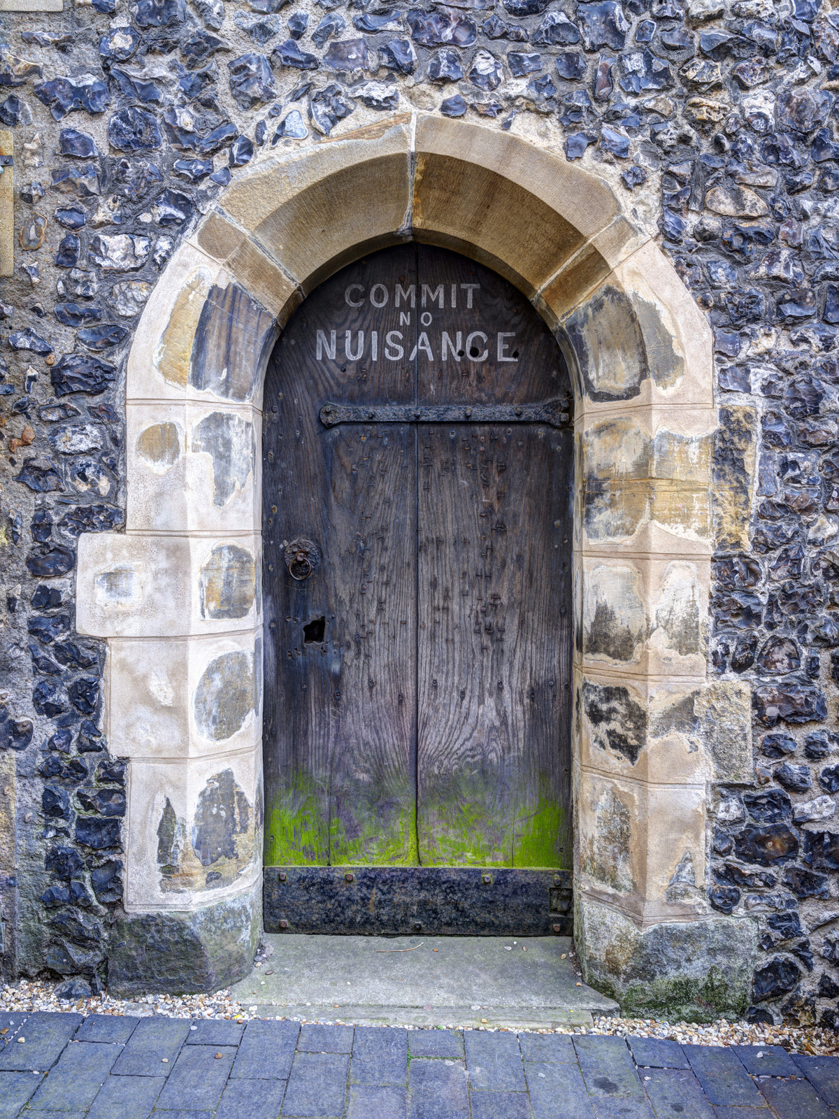 Arched Entry: Commit No Nuisance Wall Mural in your room