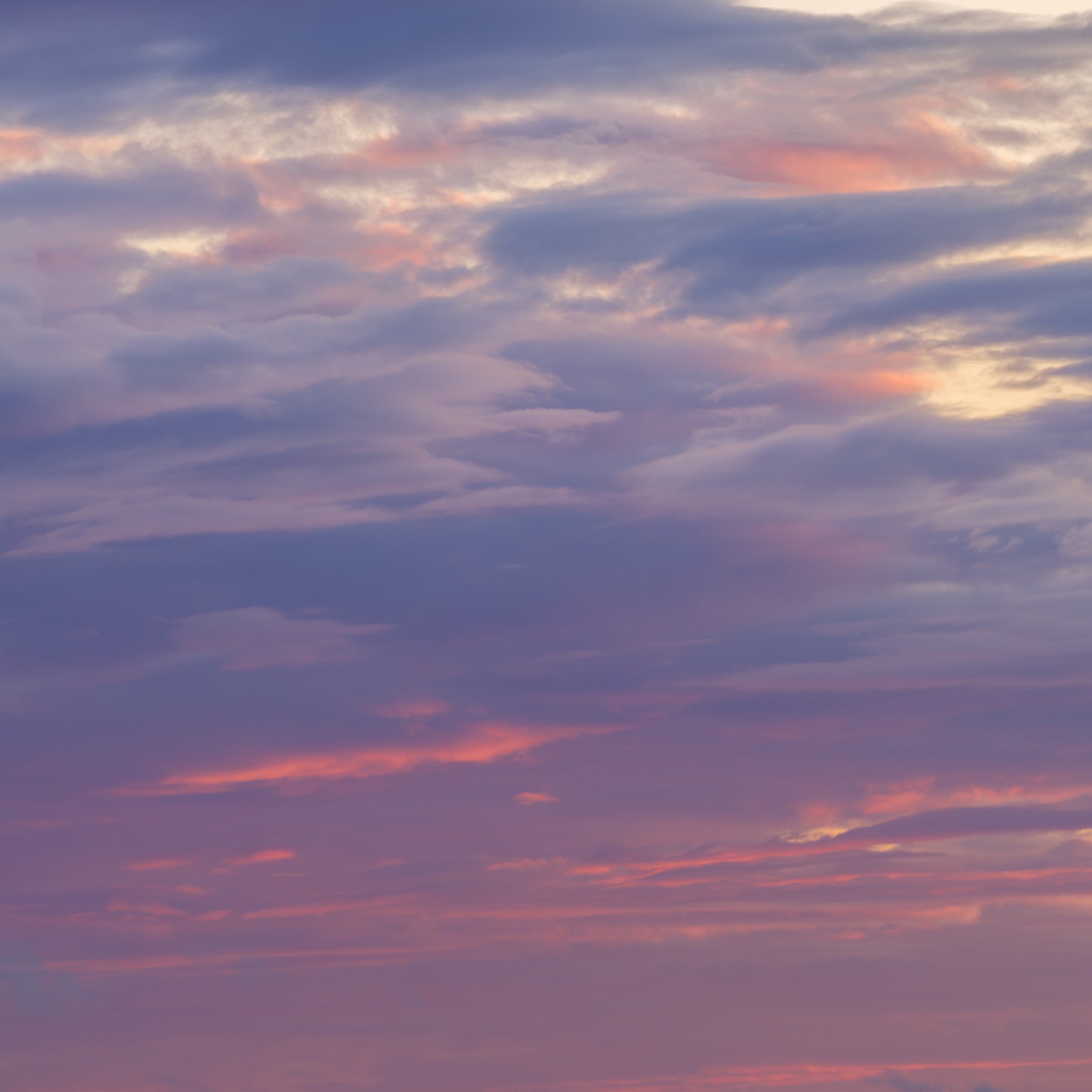Twilight cloudscape wall mural with soft pink and blue clouds