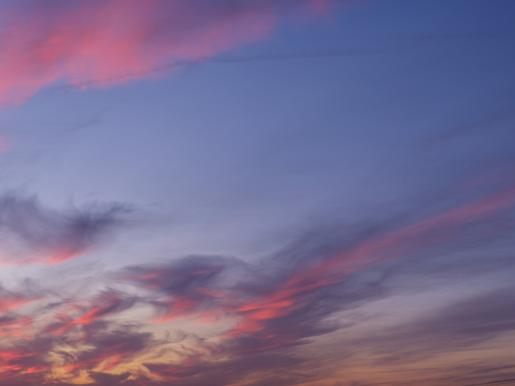 Floral sky wall mural with pastel blooms and twilight clouds