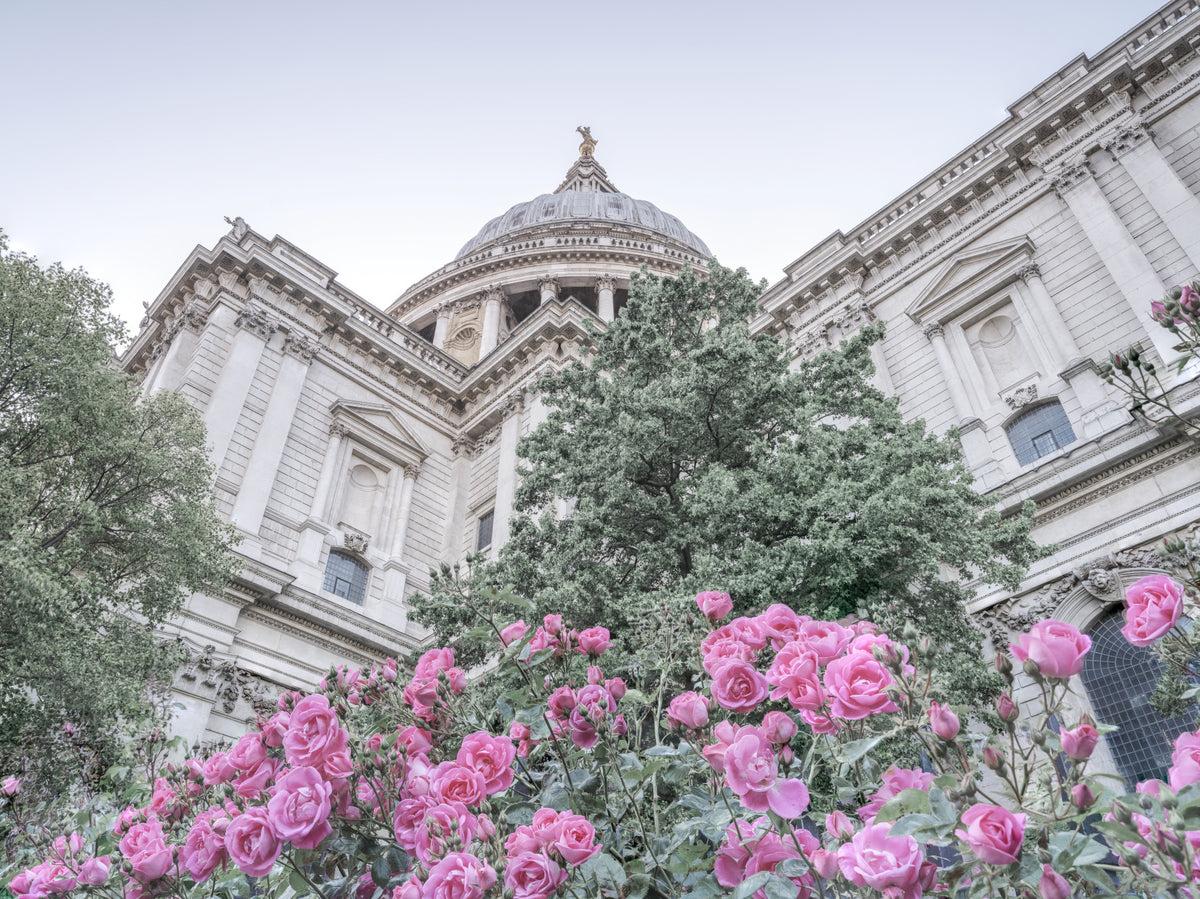 St. Paul's Rose Garden Vista Wall Mural in your room