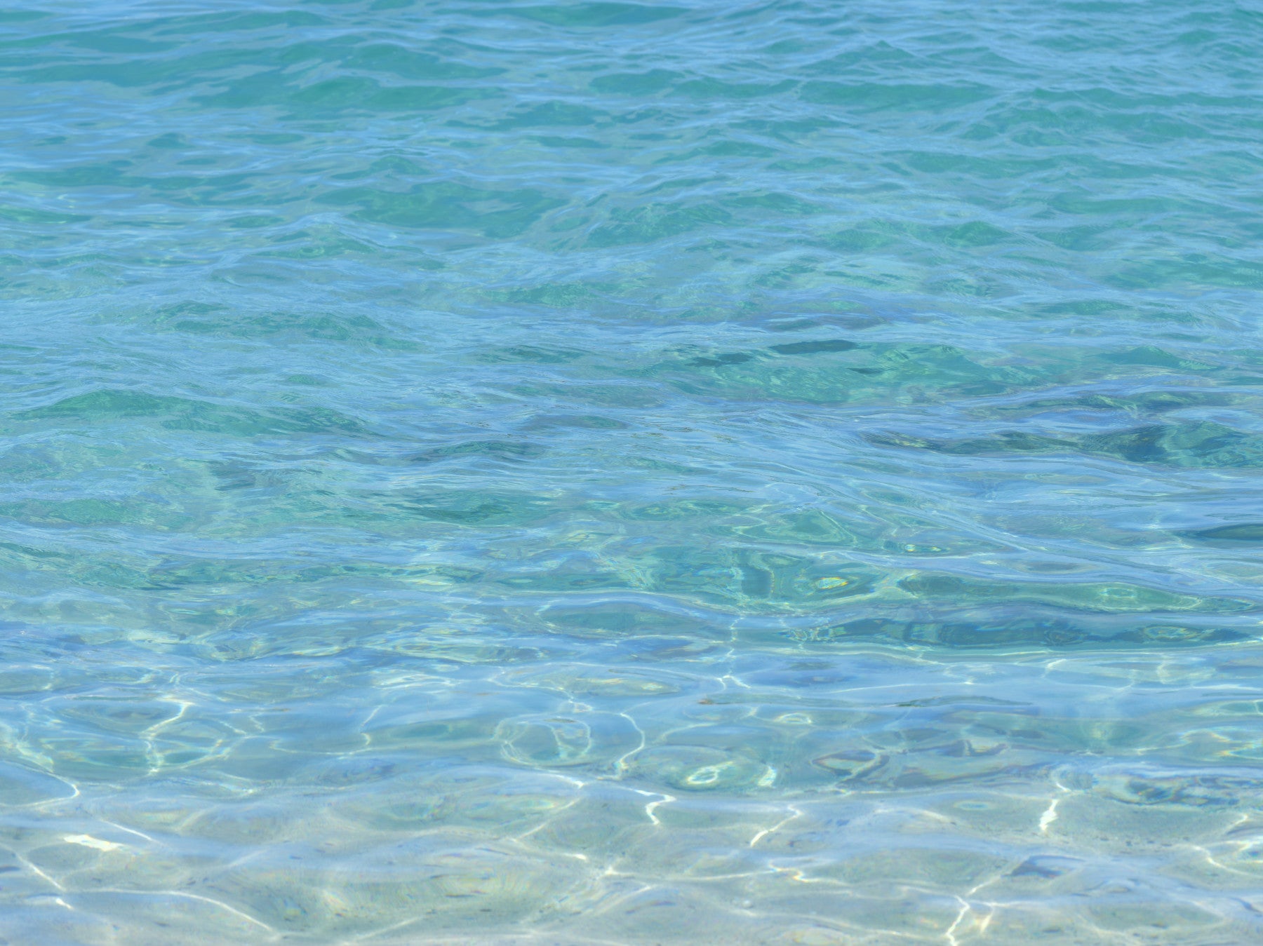 Aqua Serenity Wall Mural in your room — zoomed