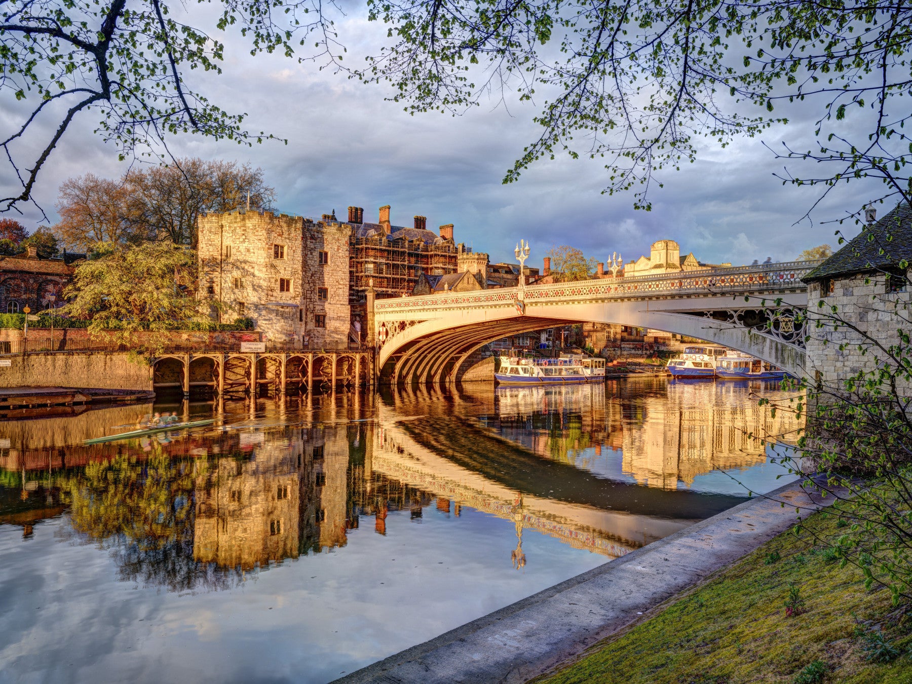 York's Golden River Reflection Wall Mural