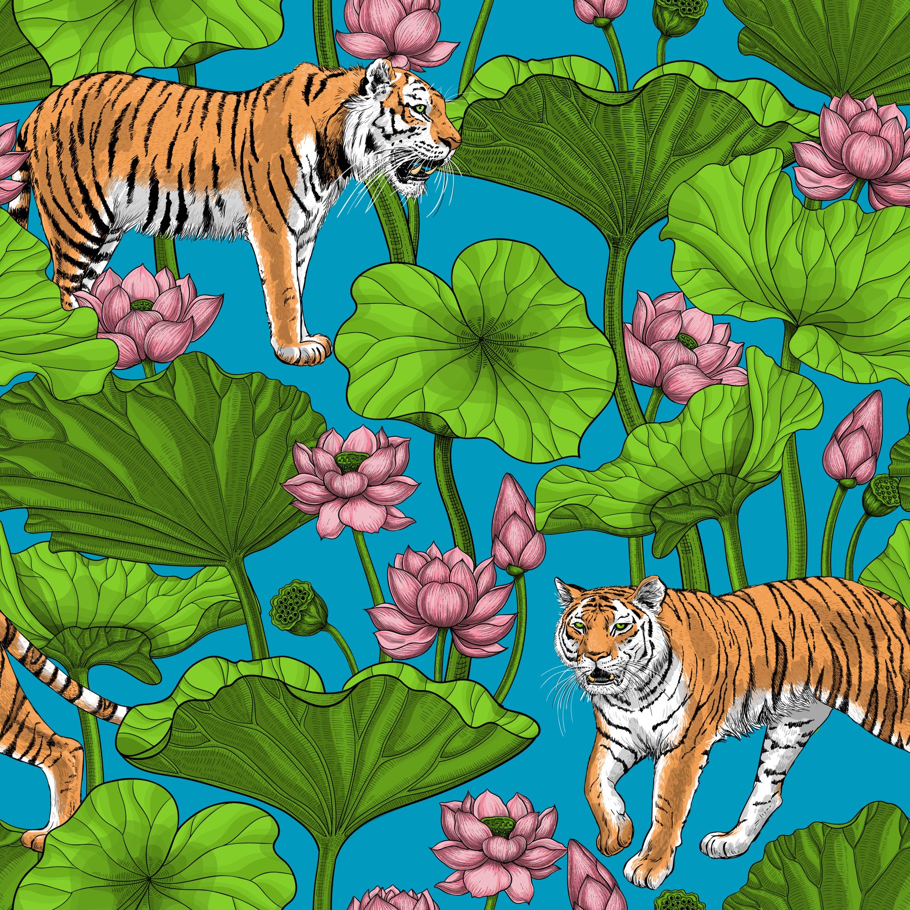 Tigers in the Lotus Pond Wallpaper with pink lotus blooms and broad leaves