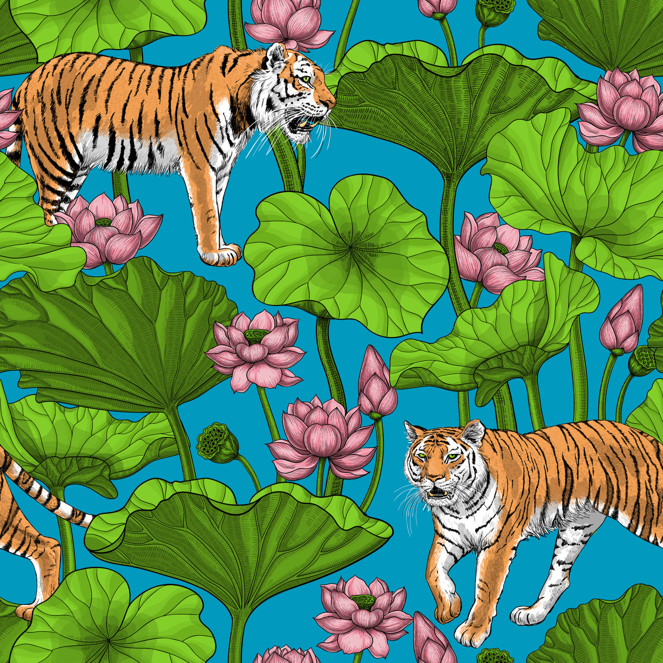 Tigers in the lotus pond Wallpaper⁠