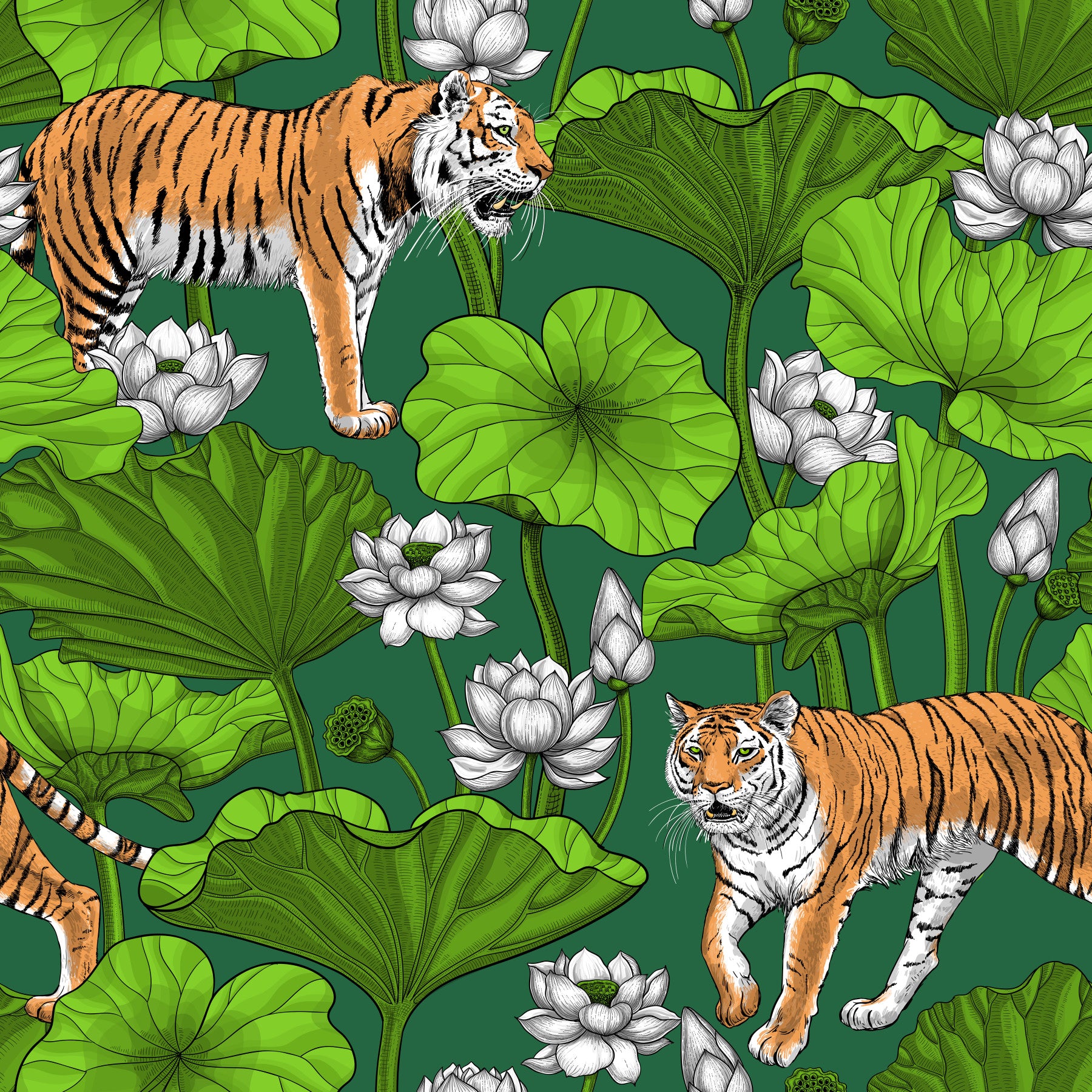 Tigers in the lotus pond in green and white Wallpaper⁠
