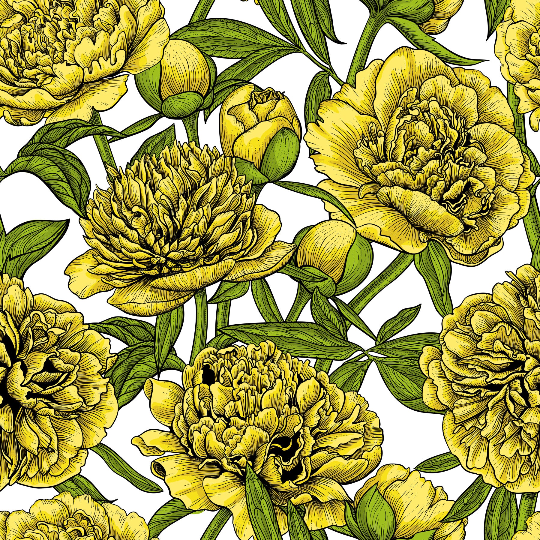 Golden Peony Blossom Wallpaper Wallpaper⁠