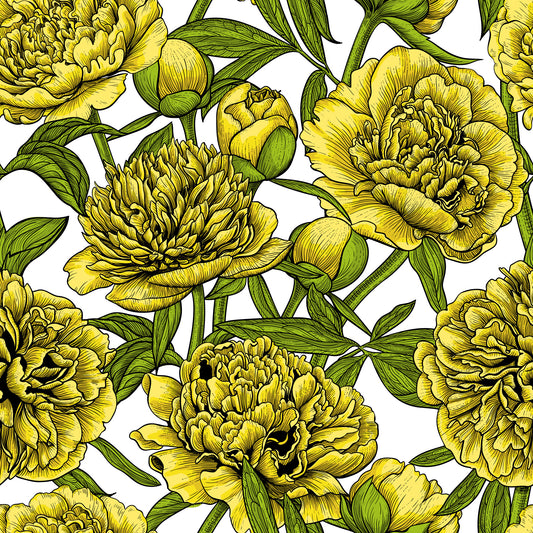Golden Peony Blossom Wallpaper