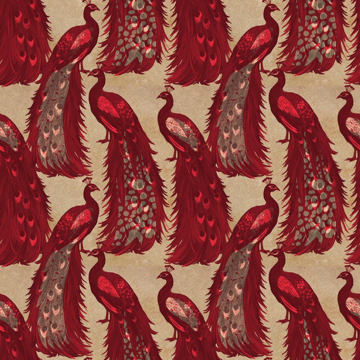 Crimson Elegance Peacock Wallpaper in your room — zoomed