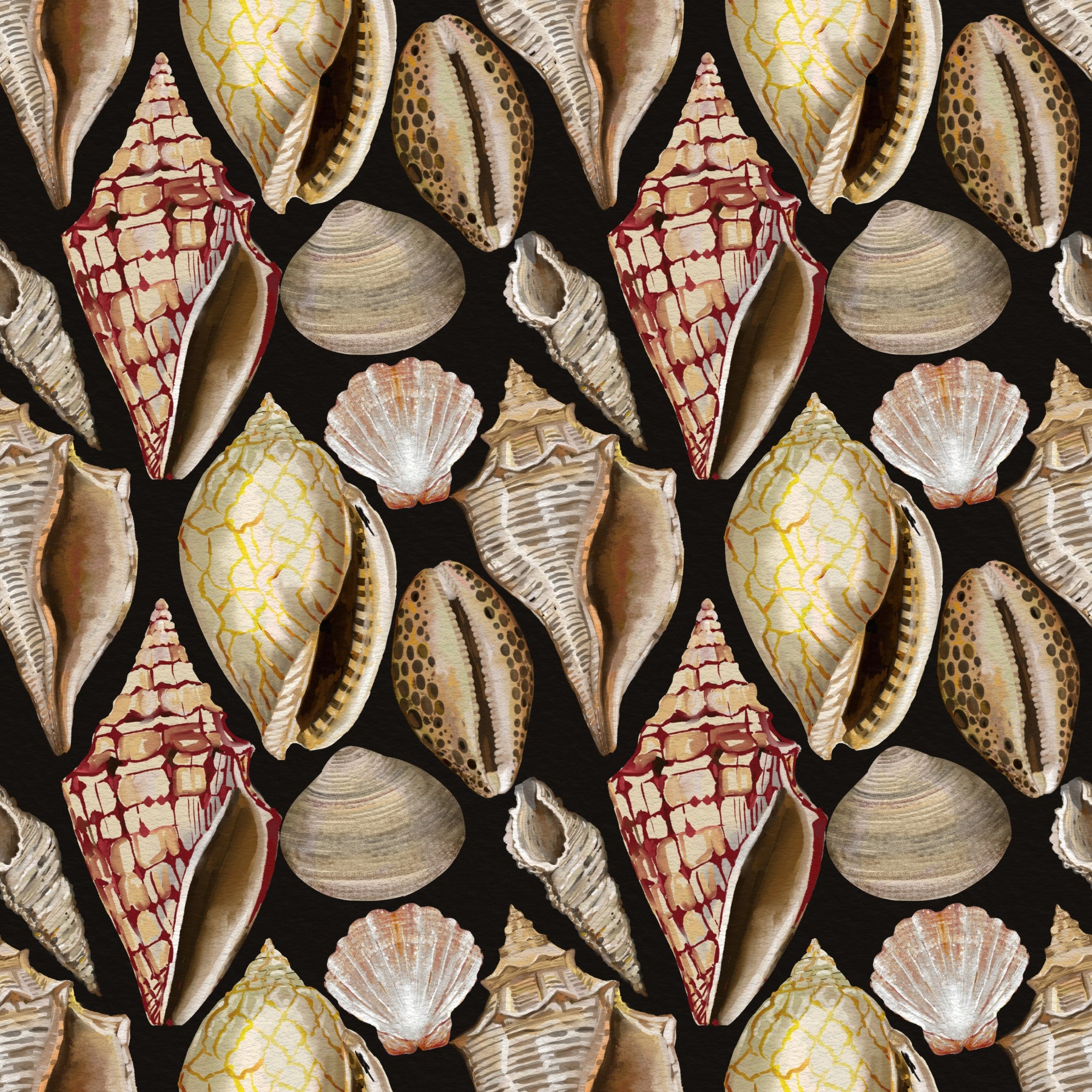 Moody Vintage Seashells Wallpaper Wallpaper⁠