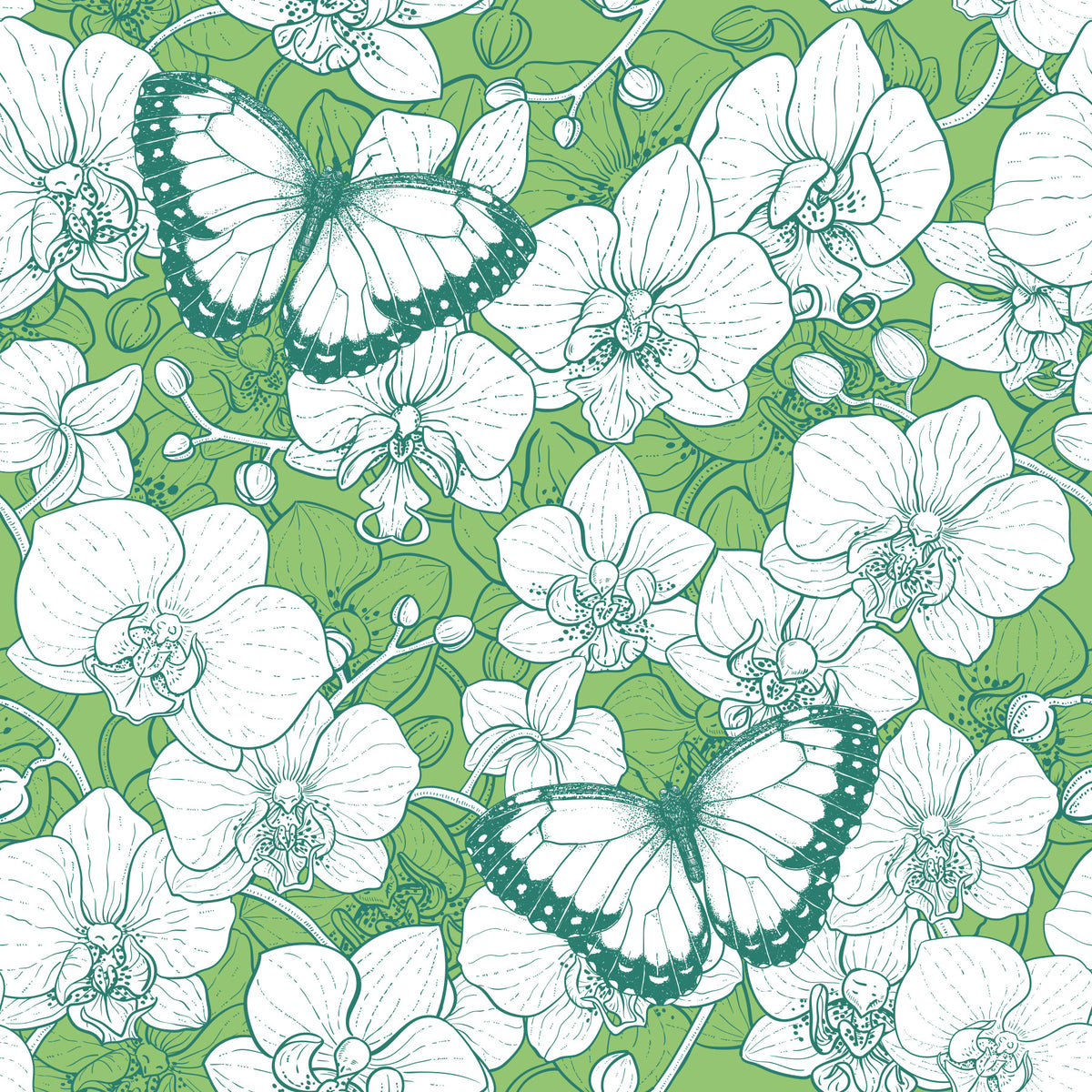 Botanical Orchid Garden with Butterflies 2 Wallpaper⁠ in your room