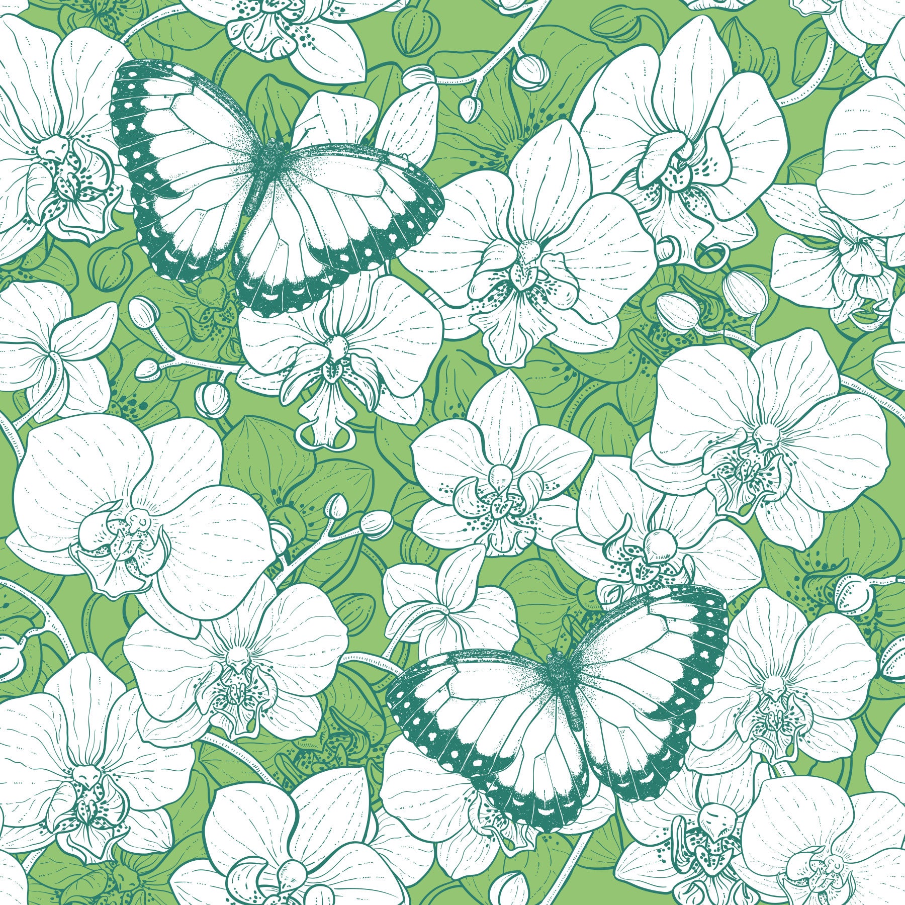 Botanical Orchid Garden with Butterflies 2 Wallpaper⁠