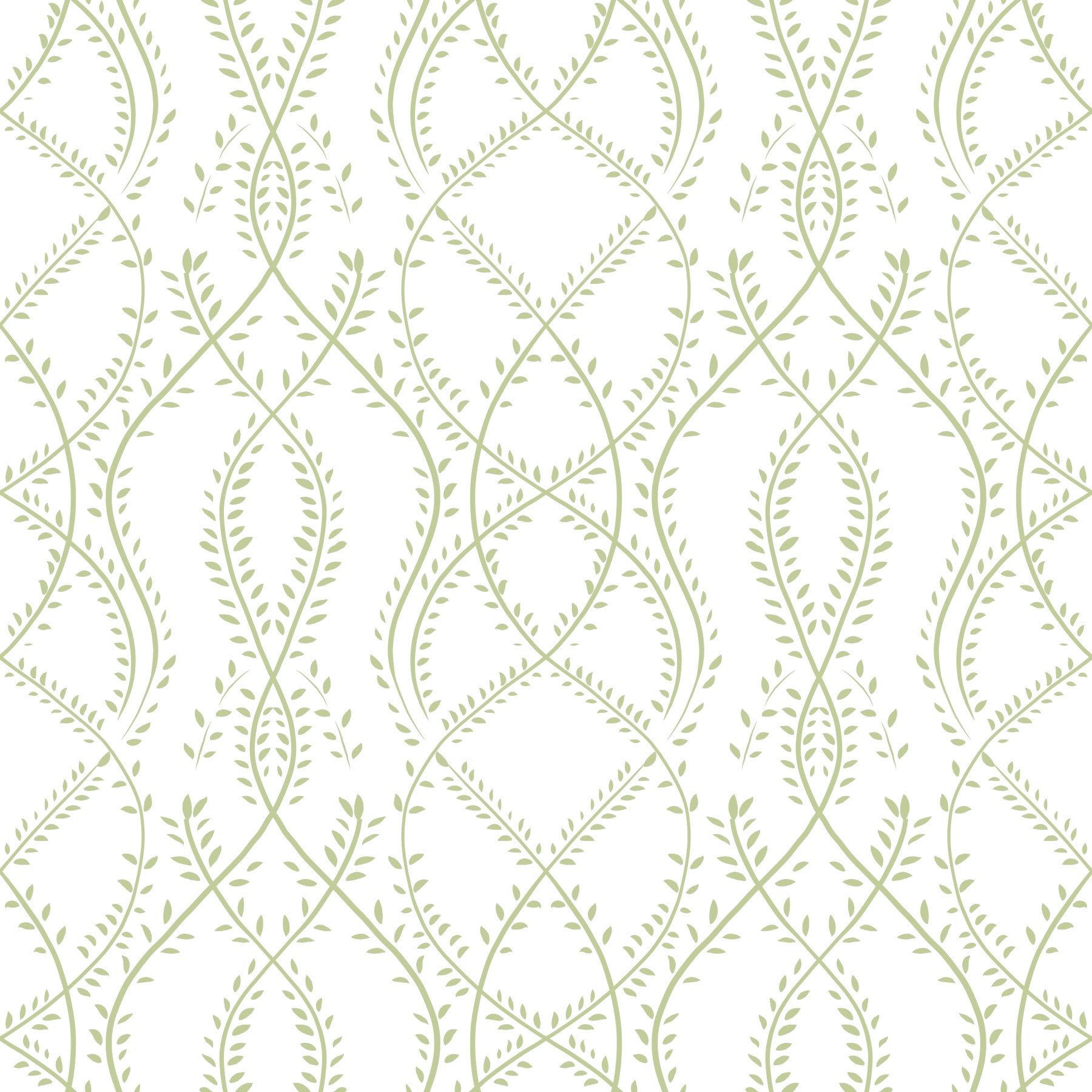 Sage Green Intertwined Botanical Vines Wallpaper Wallpaper⁠