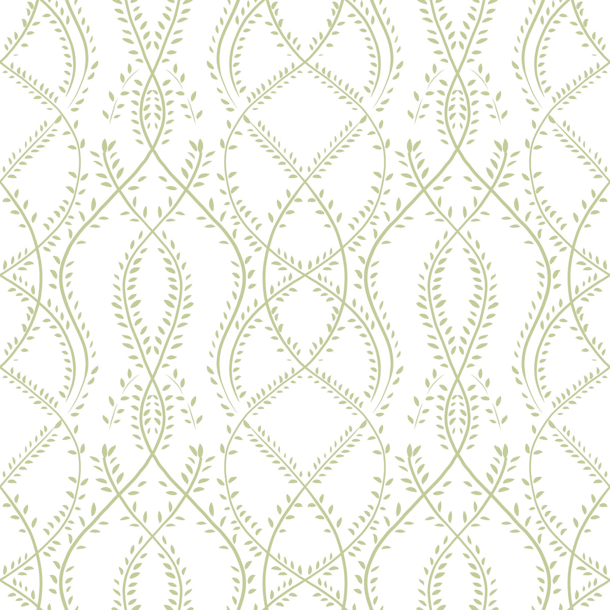 Sage Green Botanical Vine Trellis Wallpaper⁠ in your room