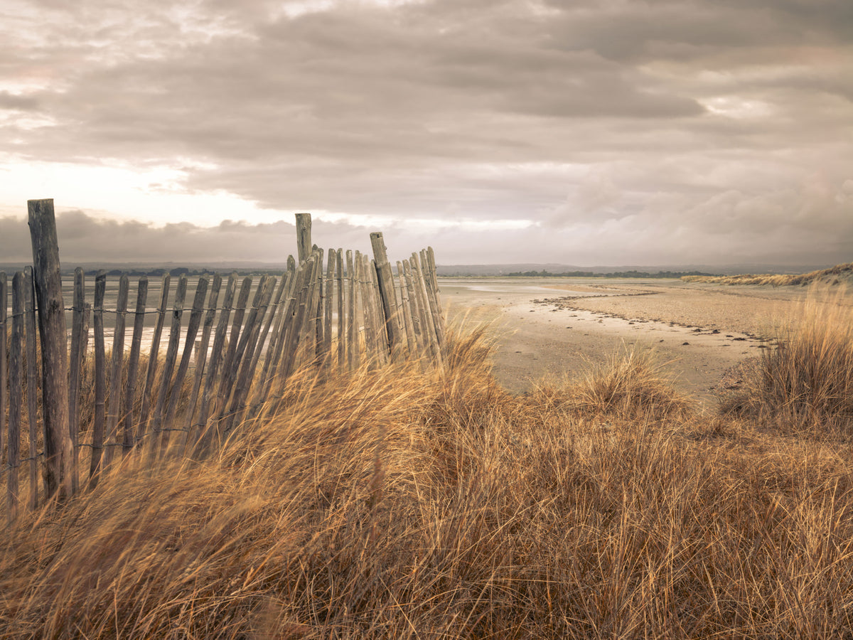 Golden Dunes and Rustic Coastal Fence Wall Mural