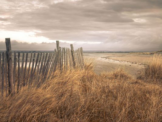 Golden Dunes and Rustic Coastal Fence Wall Mural