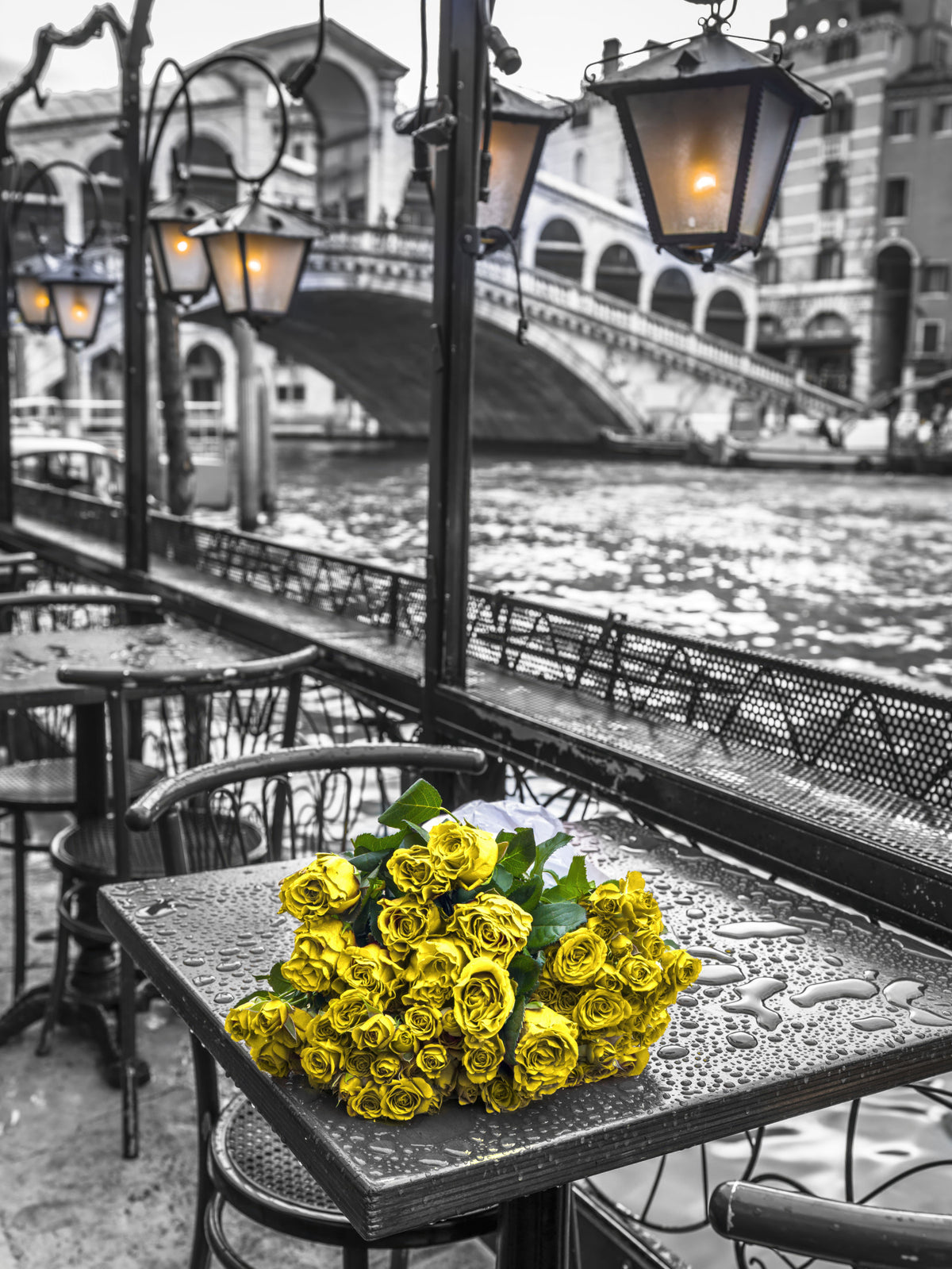 Venetian Rain with Golden Roses Wall Mural in your room