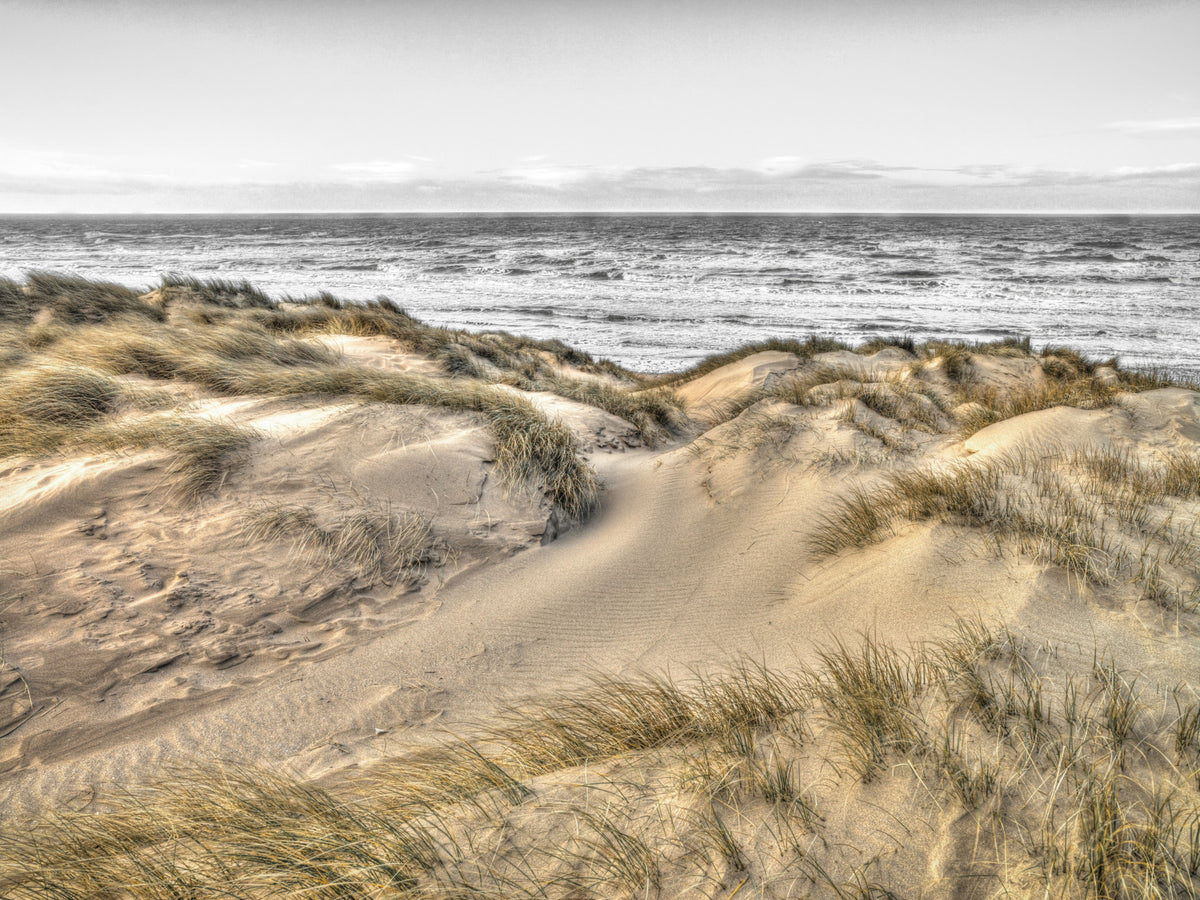 Dune Winds and Coastal Tide Wall Mural in your room — zoomed