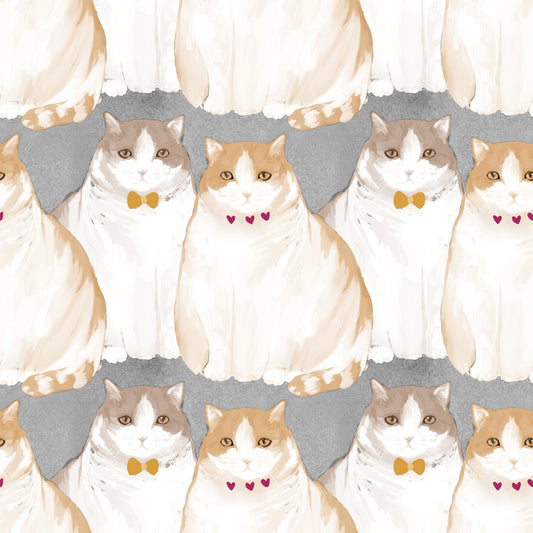 Adorable Chubby Kittens Repeating Wallpaper⁠