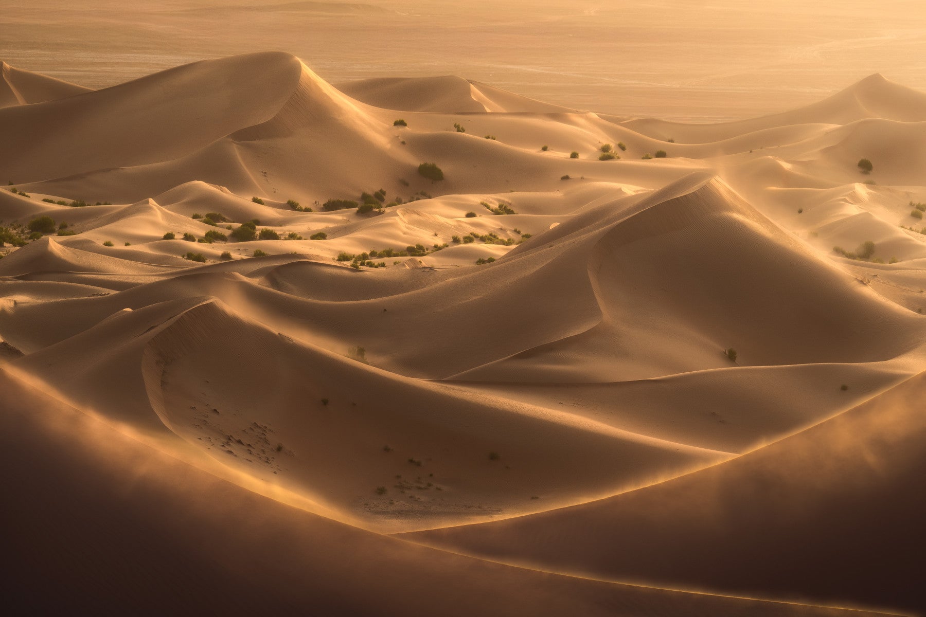 Golden Hour Desert Dunes Wall Mural