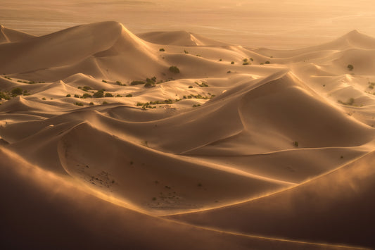 Golden Hour Desert Dunes Wall Mural