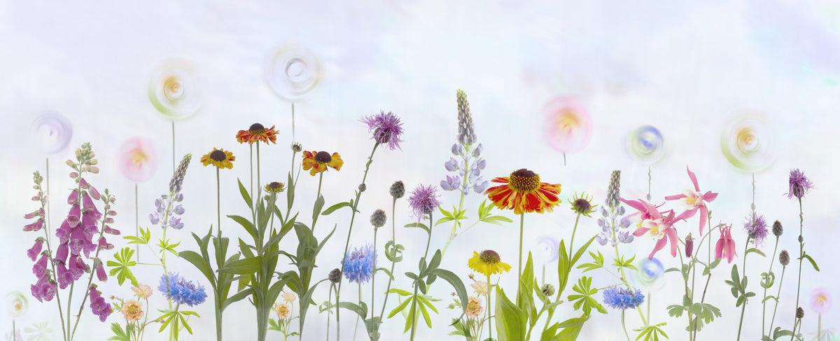 Dreamy Pastel Wildflower Garden Wall Mural in your room — zoomed