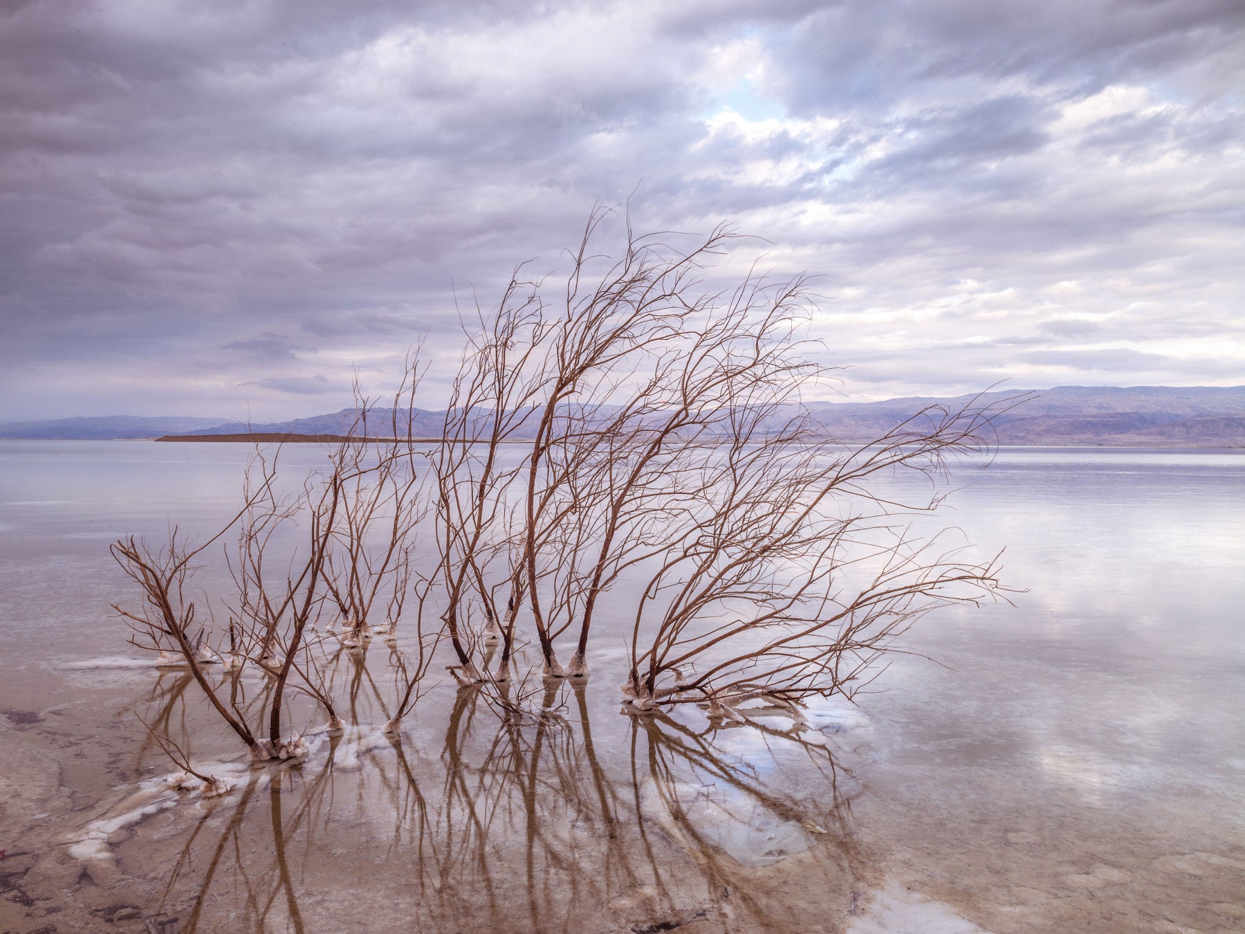 Misty Shoreline Reflection Wall Mural