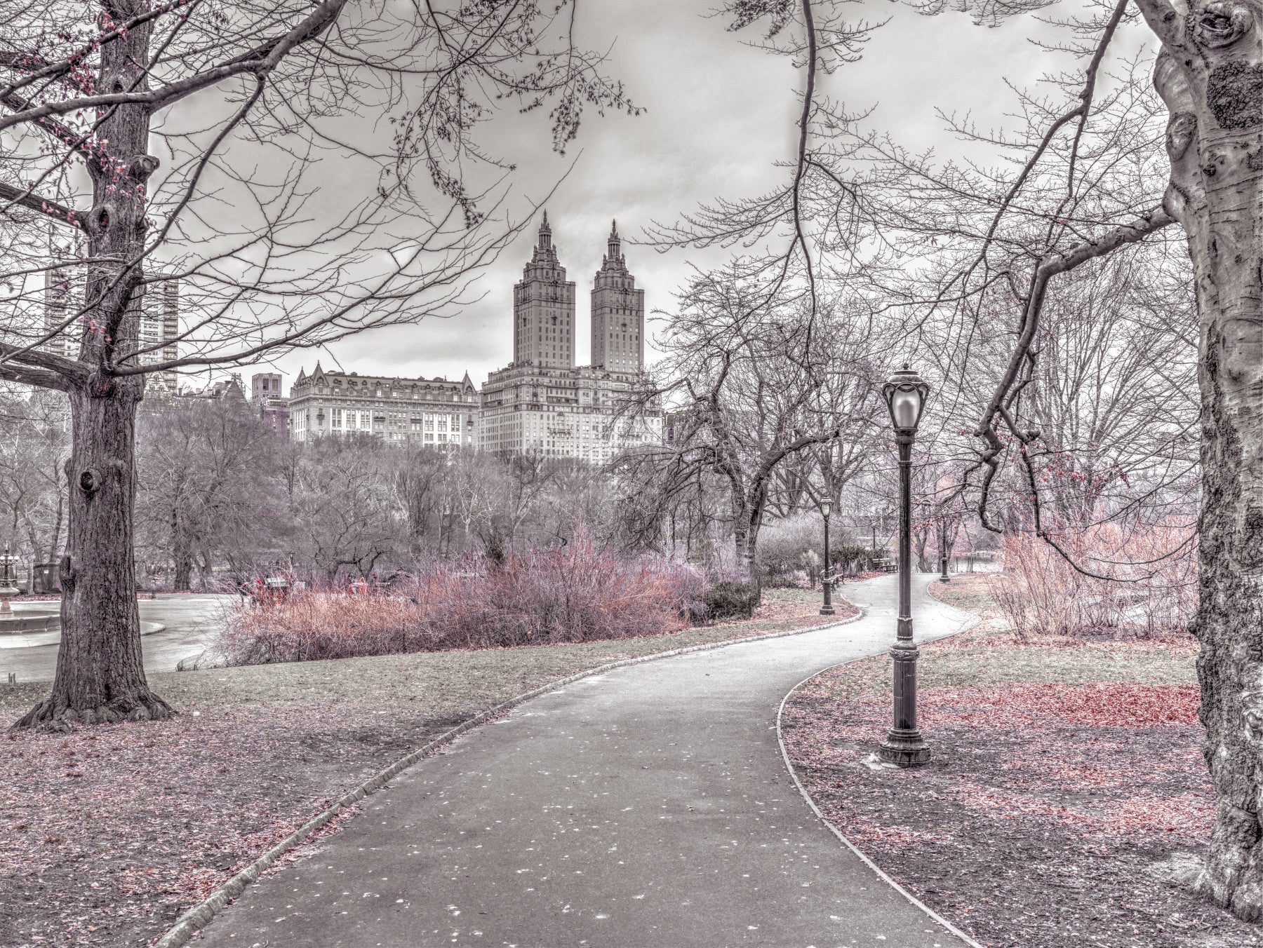 Central Park Skyline Promenade Wall Mural
