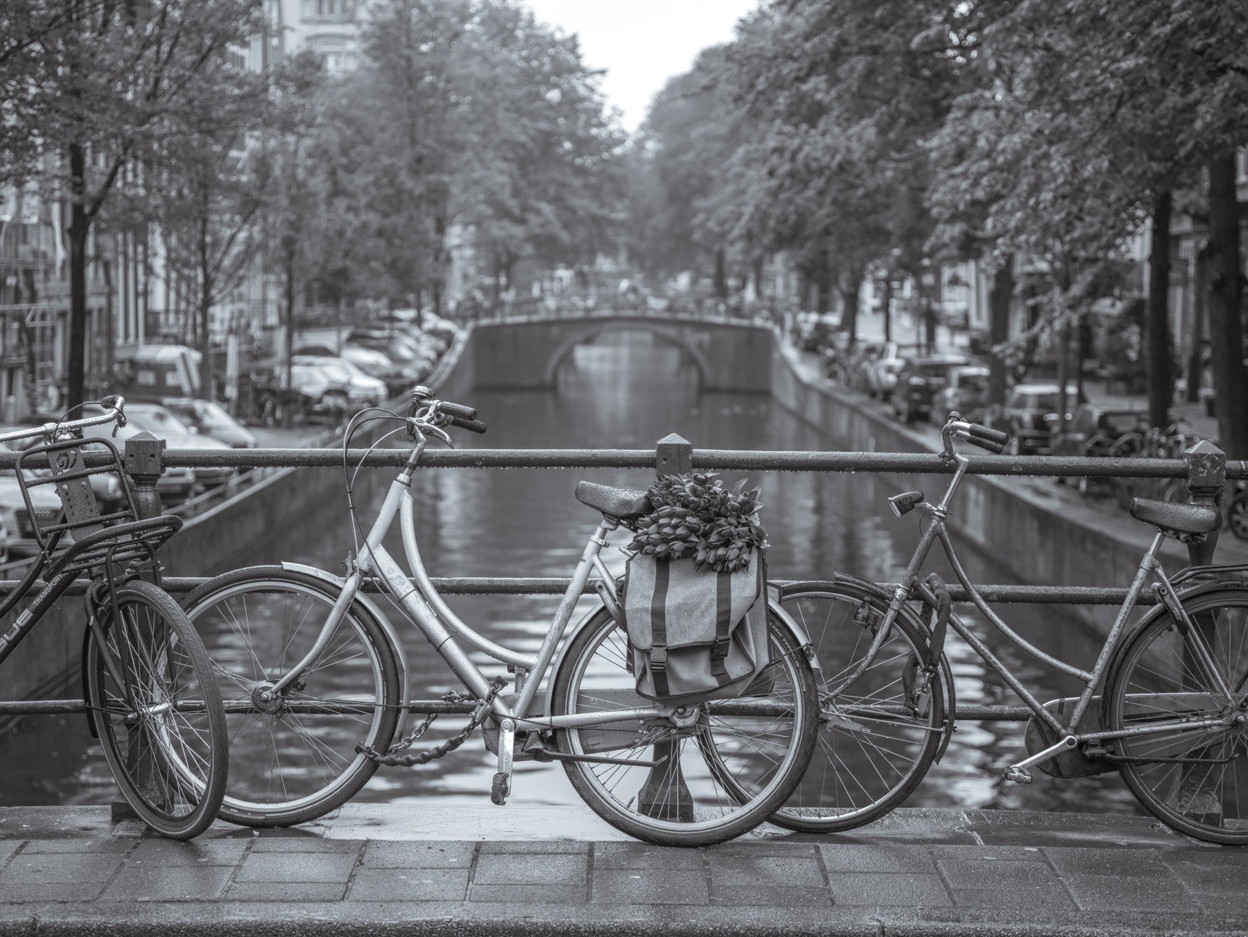 Amsterdam Canal Bicycle Scene Wall Mural