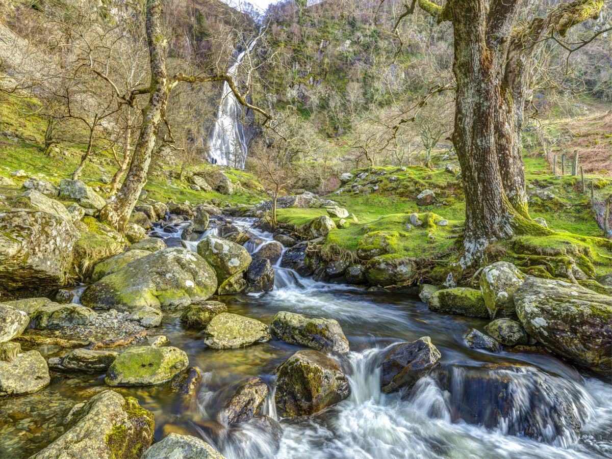 Cascading Highland Waterfall Stream Wall Mural