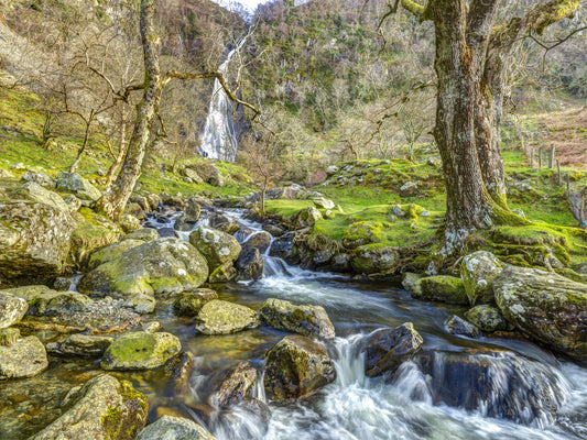 Cascading Highland Waterfall Stream Wall Mural