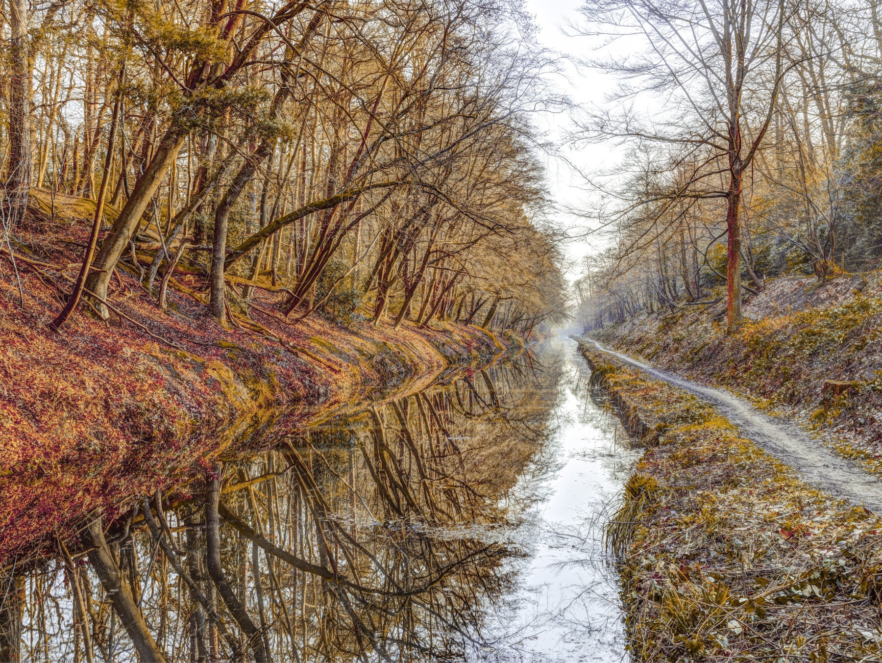 Autumn Canal Reflections Wall Mural